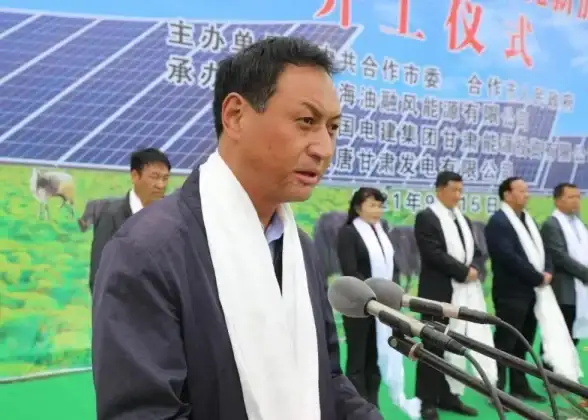 低碳转型🌏智慧城市3060目标驱动下的可持续发展路径创新探索