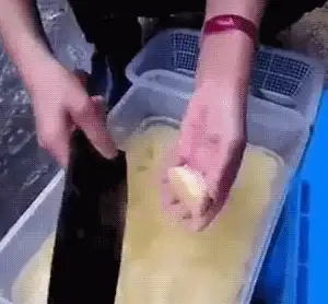 策略攻略🔥鹅鸭杀变形鸭玩法全解析指南