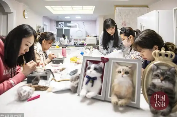 探索《我的休闲时光》萌宠乐园课程奖励，开启专属宠物养成之旅