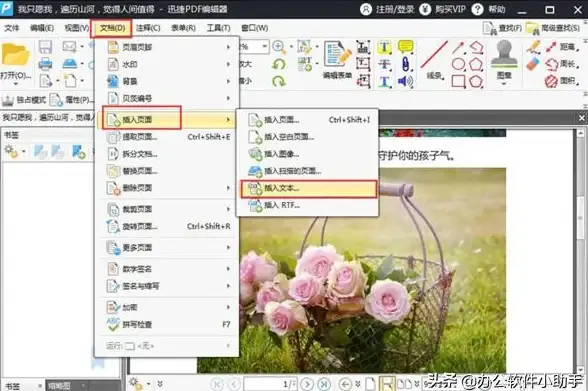 PDF工具 迅捷pdf转换器详细操作指南