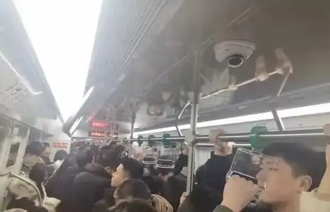 【微博异常提醒】紧急关注！社交媒体故障追踪：警惕第三方软件致微博无法打开