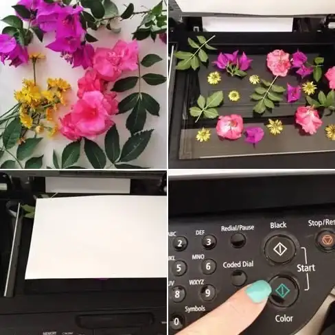 打印机故障🖨白纸📝打印机打出来是白纸怎么办？小鱼教你轻松解决打印机只出白纸的问题
