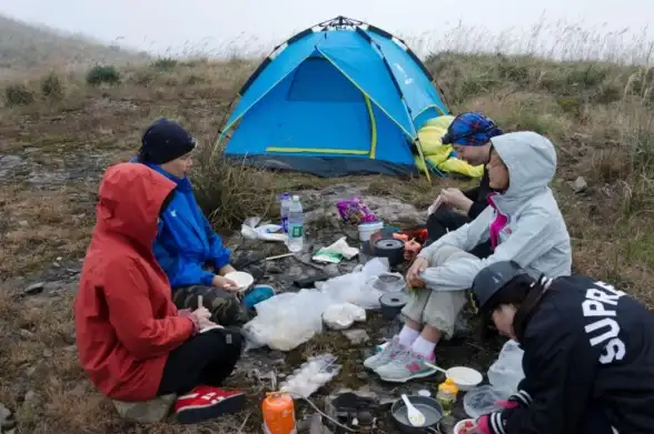 尾行3 玩法解析，核心技巧助你轻松上手—详细攻略带你快速掌握