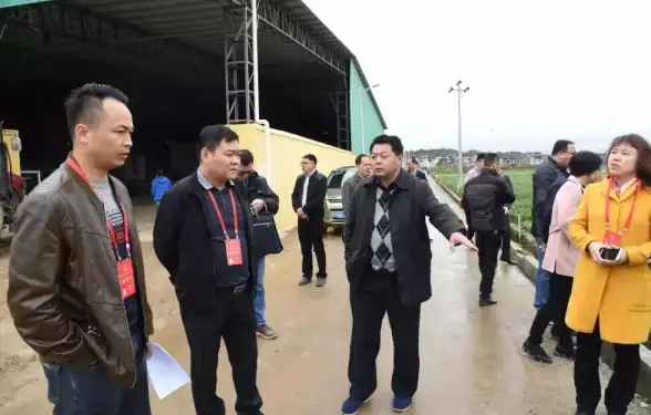 云主机聚焦 速览免备案空间优选指南｜全方位深度解析 选择无忧【免备案空间对比推荐】