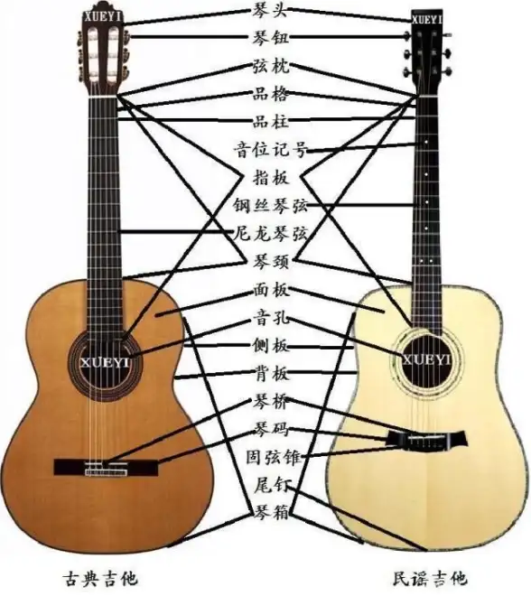 古典吉他🎸谱软件推荐：精选实用工具助你高效练习演奏