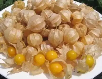 🔥美味升级🔥营养满分 七日世界水果饼配方大改良，口感爆棚！