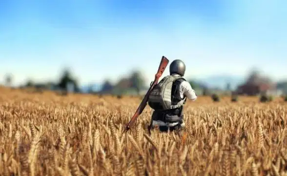 游戏攻略🔥PUBG全新版本深度解析及性能优化详解