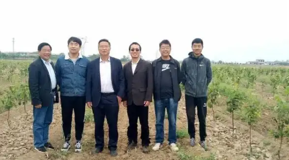 【站长指南】速查！免费海外主机部署秘籍揭秘—超实用建站全流程攻略