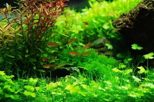 电脑技巧🎯word打不开怎么办？小鱼教您轻松解决方法