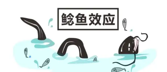 iPhone激活📱遇到iPhone6 Plus无法激活？小鱼教你快速排查与修复