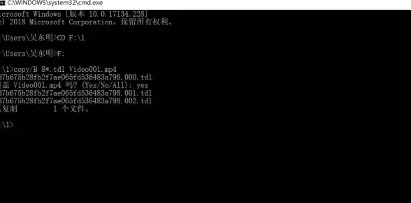 文件管理📂新手指南｜tdl文件打开方法及常见疑问解答