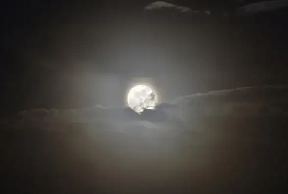 策略精选★高阶攻略★军团必看｜月圆之夜难度10小小军团高效稳定通关秘籍