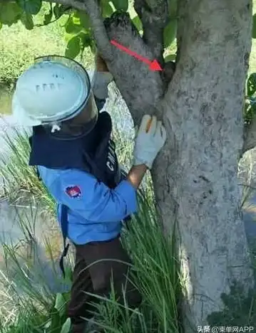 冒险🔥生存🔥刺激 2025年度最震撼必玩惊险生存游戏精选推荐