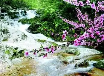 《桃源深处有人家》彩蛋揭秘与隐藏细节汇总