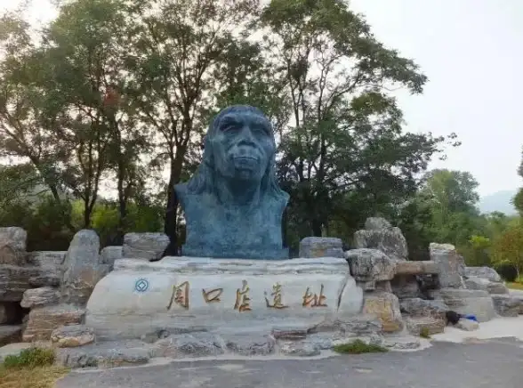 重磅⚡龙骨优化⚔实用培养🔥最后的原始人》终极攻略全解析