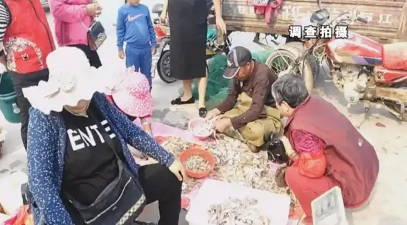 网络故障🚩无线权限：如何应对电脑无线有限的访问权限，小鱼为你详细解析解决方法
