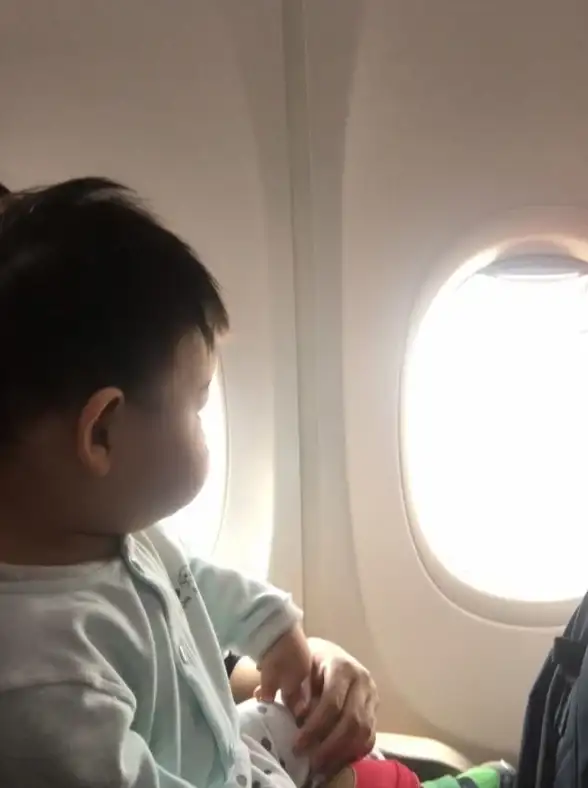 飞行✈游戏🔥推荐 2025年度热游排行榜及超值免费资源合集