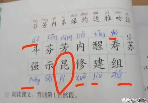 聚焦｜拼音书写全解析！学习必看】拼音正确写法与常见错误大盘点