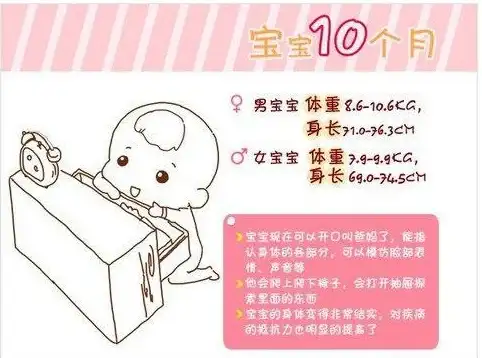 数据库设计 数据库开发 数据库建表的范围，数据库 建表 范围