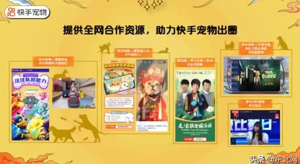 自媒体新手必看 内容创作者成长秘籍 实用干货技巧全掌握【成长指南】
