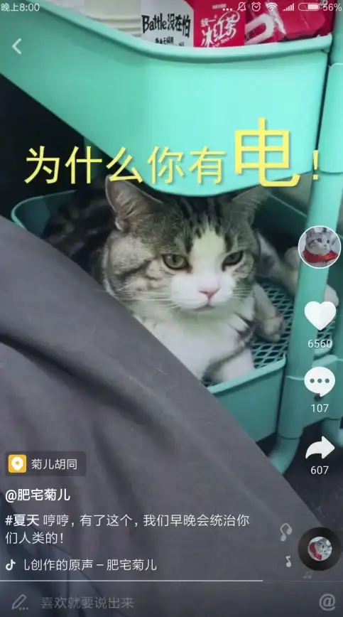 自媒体新手必看 内容创作者成长秘籍 实用干货技巧全掌握【成长指南】