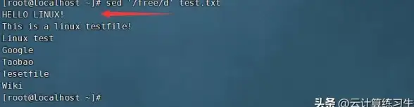 数据库应用 数据存储 探索数据库text类型的多样化使用方法，详解text字段在数据库中的实际用法