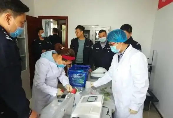 社交🌐网页版QQ：无缝沟通，好友互动更便捷