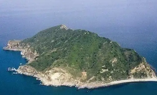 冒险岛屿🏝生存挑战｜荒岛求生：孤岛探险家的生死冒险记