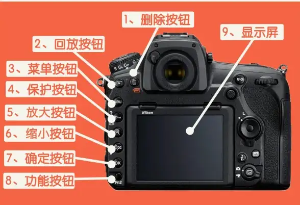 摄影技巧📷单反相机：专业摄影师钟爱单反相机的深层原因