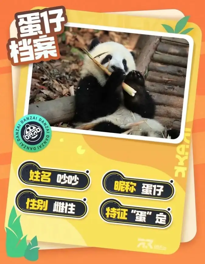 派对🎉互动趣味 热门游戏推荐2025最新盘点