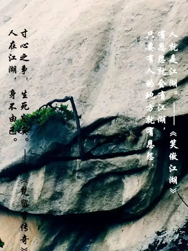 武功•策略•提升丨《寸心之争》前期武功优劣全解析与养成指南