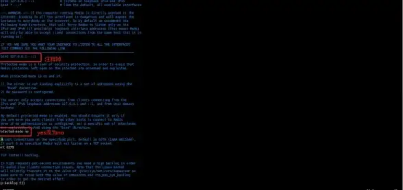 Redis安全 网络配置 Redis绑定公网IP实现网络开放，redis如何绑定公网ip