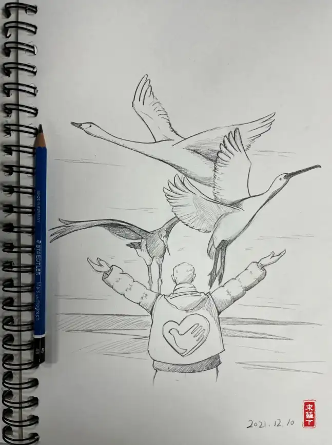 绘画教程🎨英雄速写教学 王者荣耀经典英雄简笔画详解