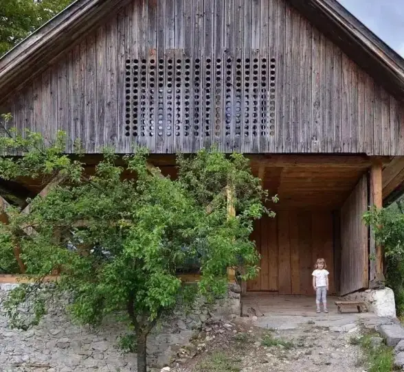 谷仓英语—发音难点！准确掌握“barn”标准音💡英语教学热议