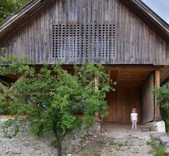 谷仓英语—发音难点！准确掌握“barn”标准音💡英语教学热议