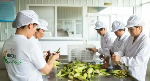 礼物🎁创意 分享 实用｜以仙之名礼物选择与送礼技巧揭秘