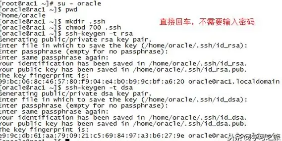 Oracle 数据库 Oracle 10g客户端安装配置全流程详解