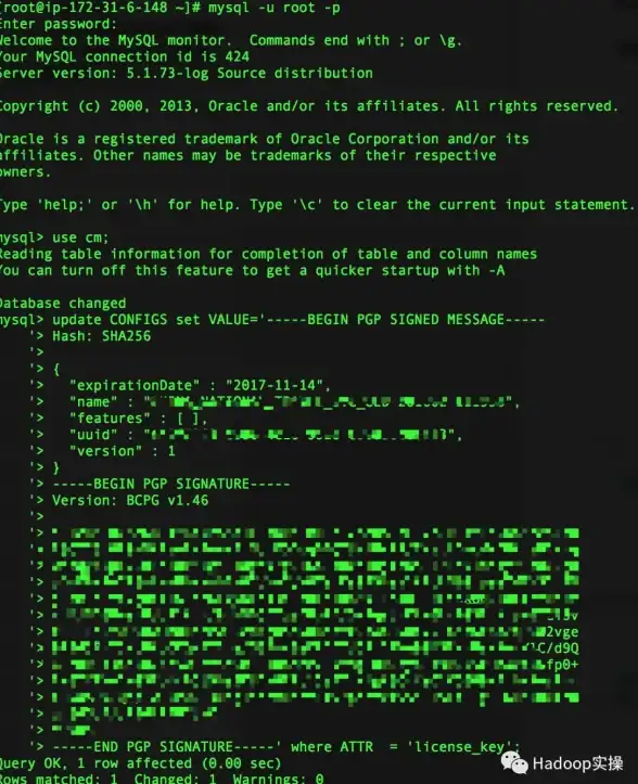 深度盘点 server服务器重启必备技巧大公开 运维必修】优雅重启命令全新解读