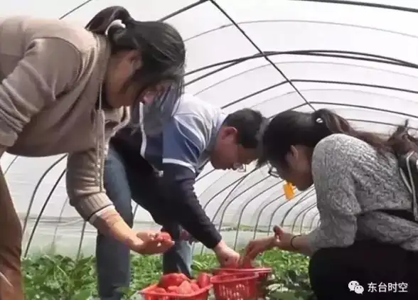 设计秘籍🔥超全📍无限暖暖酸甜缀梦设计图收集技巧与位置分布攻略