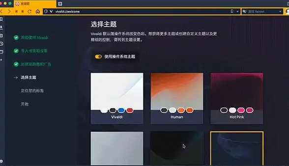浏览器美化｜酷炫浏览器换肤神器，开启独一无二的上网体验