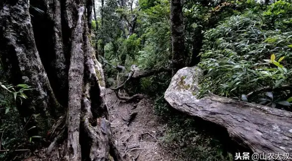 恐怖游戏👻鬼怪探秘👾2025必玩鬼怪游戏精选大合集