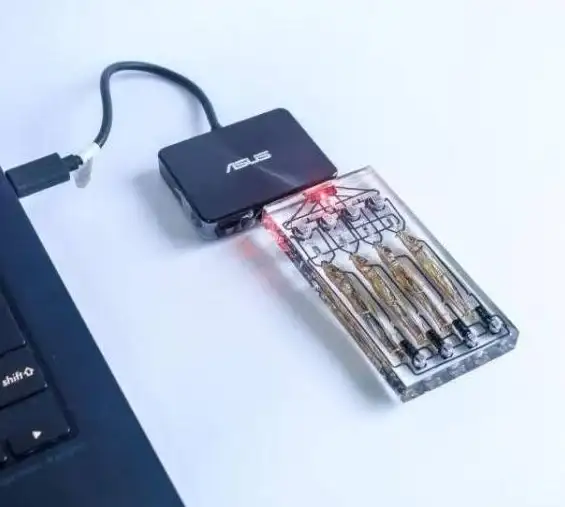 硬盘故障💡D盘消失🖥遇到D盘不见了别慌，小鱼带你一步步解决电脑D盘消失问题