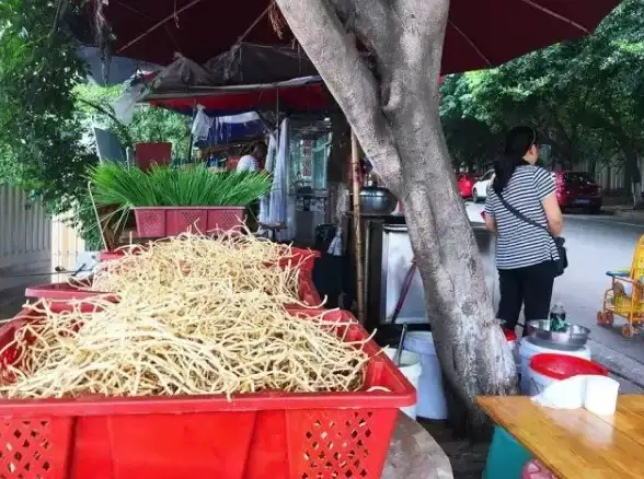 种植🌱农场游戏🌟摩尔庄园手游》马铃薯高效种植技巧揭秘