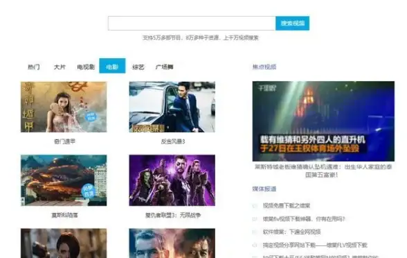视频工具📥维棠视频下载软件：高效便捷的视频下载体验