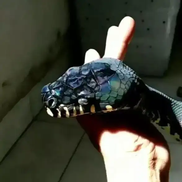 格斗🔥实力对比🔥最强之争 拳皇97小蛇与大蛇谁更强揭秘