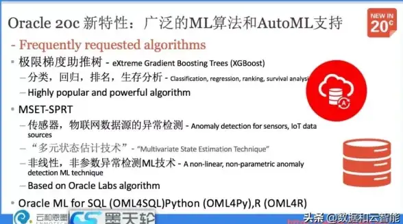 热门爆款●实用攻略●阵容推荐 异象回声黑狮子抽取性价比全解析！