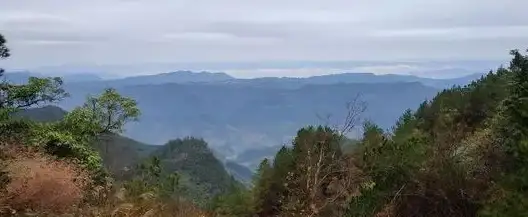 🔥升级必备🔥礼包速领🔥解锁《蛙爷的进化之路》最新卡密，助力极速飞升！