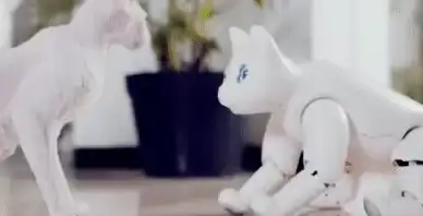 《火星》发布朋友圈详细步骤解析与技巧分享