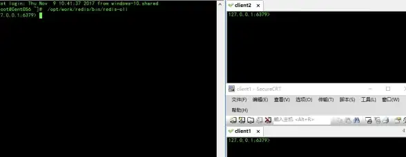 数据可视化 实时推送 Redis订阅助力数据实时可视化展示，轻松实现redis订阅数据的高效呈现