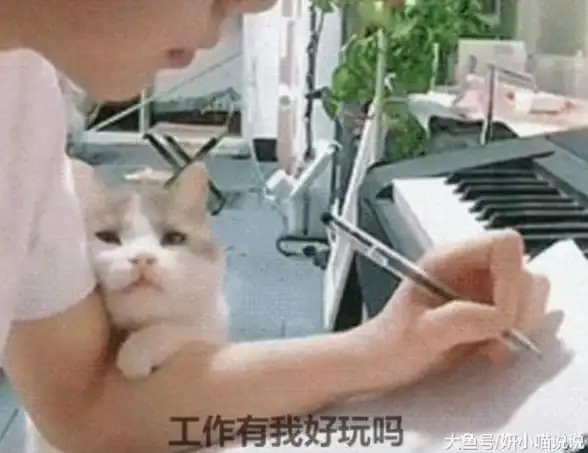 攻略·技巧·成就｜绝区零》小猫无害任务全流程详解助你轻松达成
